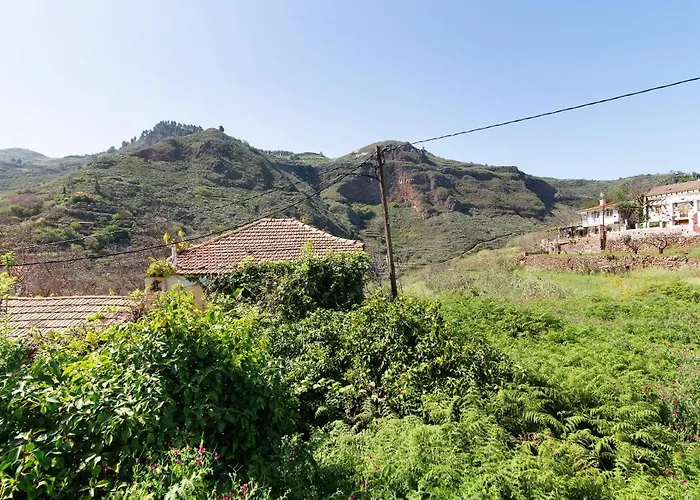 Alma * 维加-德圣马特奥