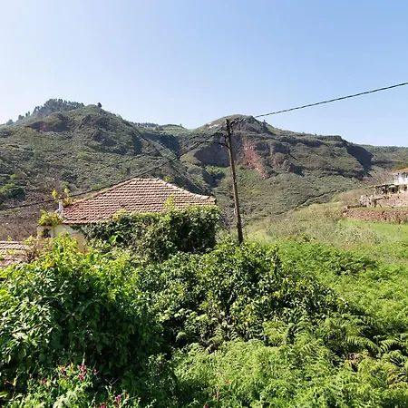 Alma * Vega de San Mateo